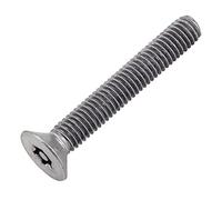 Bricovis Vis Inviolable TF Torx + Téton M5X80 Inox A2