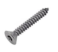 Bricovis Vis Tôle Inviolable TF Torx + Téton 3.5X13 Inox A2