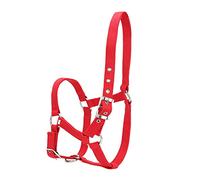 Bride de Cheval Réglable, Couleur Rouge Durable, Double Couche, Contrôle du Licou pour Accessoires D'équitation