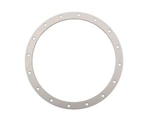 Bride de projecteur cofies 300w - Hayward