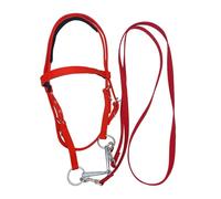 Bride équestre avec licol réglable en métal nylon résistant aux 130 cm, couvre-chef robuste pour cheval, accessoire d'équitation de longue durée | coupe confortable et oui