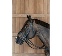 Bride Équitation Dy'on Working Motion