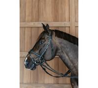 Bride équitation Dy'on Working Motion Noir Cob