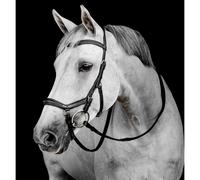 Bride équitation Horseware Micklem Deluxe Noir Poney