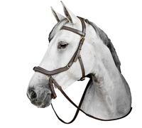 Bride équitation Horseware Micklem Marron Cob