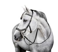Bride équitation Horseware Micklem Noir Full