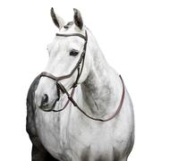 Bride équitation sans mors Horseware Micklem Marron Poney