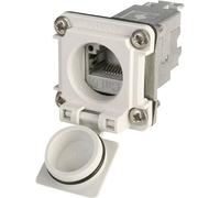 Bride IP67 STX V6 Telegärtner 100022952 RJ45 embase femelle de chassis Pôle: 8P8C gris clair 1 pc(s)