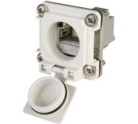 Bride IP67 STX V6 Telegärtner 100022954 RJ45 embase femelle à encastrer Pôle: