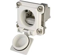 Bride IP67 STX V6 Telegärtner J00020A0483 RJ45 embase femelle à encastrer Pôle: 8P8C gris clair 1 pc