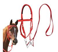 Bride pour cheval : muserolle réglable, casque équin en nylon durable, doublure rembourrée douce | Regolabile confortable Trail Riding, entraînement, spectacle, fournitures équestres pour femmes et