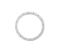 Bride pour projecteur 300 W - Hayward