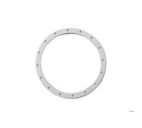 Hayward Bride pour projecteur 300 W