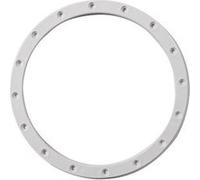 Hayward Bride pour projecteur 300 W