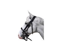 Brides sans mors Flags&Cup Hagen Noir Full