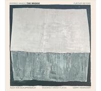 Bridge, the (Amado, Rodrigo W/ Schlippenbach/Haker Flaten/Hemingway) - Further Beyond [Import]