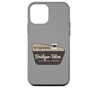 Bridger-Teton National Forest Wyoming Panneau de Bienvenue Vacances Coque pour iPhone 12 Mini