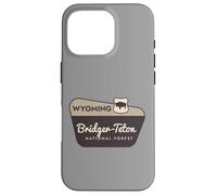 Bridger-Teton National Forest Wyoming Panneau de Bienvenue Vacances Coque pour iPhone 16 Pro