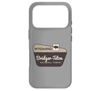 Bridger-Teton National Forest Wyoming Panneau de Bienvenue Vacances Coque pour iPhone 17 Pro