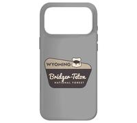 Bridger-Teton National Forest Wyoming Panneau de Bienvenue Vacances Coque pour iPhone 17 Pro Max