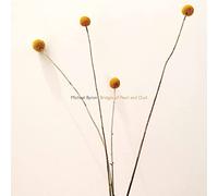 Bridges of Pearl and Dust