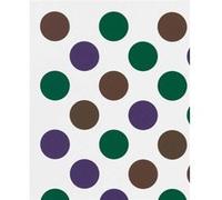 Bridget Riley Past into Present by Eric de Chassey Eric de Chassey (Auteur)