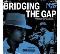 Bridging The Gap