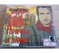 Bridie, David - 100 Flowers in Bloom