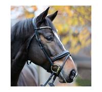 Bridon avec muserolle anglaise Kavalkade Juliana KavalSH4 Noir Poney