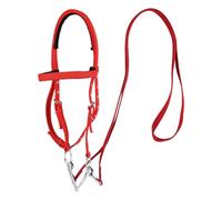 Bridon cheval frontal - 55 cm réglable, têtière, longue durée, doublure de muserolle douce, sangle de filet | Licol d'équitation confortable et sûr pour l'entraînement de poney de cheval équestre, uti