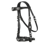 Bridon d'équitation portugaise Hispano Hipica Eco Noir Full