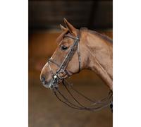 Bridon équitation anatomique HFI Double Jump Marron Full