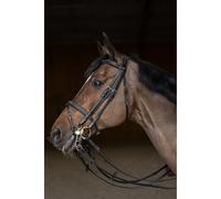 Bridon équitation anatomique HFI Double Jump Noir Full