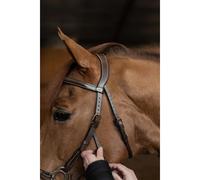 Bridon équitation anatomique HFI Hackamore Marron Cob