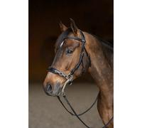 Bridon équitation anatomique HFI Hackamore Noir Full