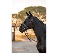 Bridon équitation anatomique Horze Lockhart Marron Full