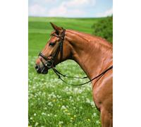 Bridon équitation Kieffer Belinda with chrome fitting Noir Cob