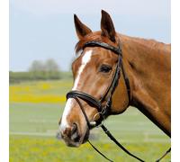 Bridon Équitation Kieffer Comfort I With Square Chrome Buckles Browbd.W.Silver Col.Chain A.Strass