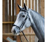 Bridon équitation muserolle combinée anatomique allemande Jump'In Evolution Origin Noir Full