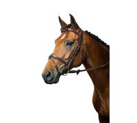 Bridon équitation muserolle combinée Dy'on Marron Cob