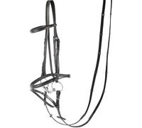 Bridon équitation muserolle combinée Harry's Horse Bronze Noir Poney
