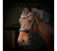 Bridon équitation muserolle combinée Harry's Horse Cavecon Noir Poney