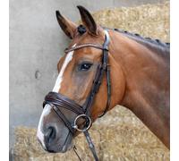Bridon équitation muserolle combinée Harry's Horse Copper Marron Cob
