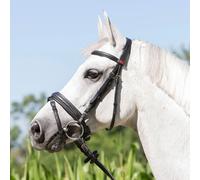 Bridon équitation muserolle combinée Kieffer Ultrasoft® Economy Noir Cob