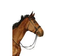 Bridon équitation muserolle combinée large Riding World Noir Cheval