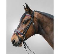 Bridon équitation muserolle combinée Star Diamond Violet Full