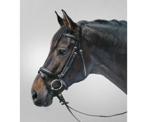 Bridon équitation muserolle combinée Star Lifestyle Noir Cob
