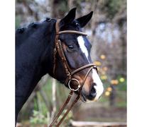Bridon équitation muserolle combinée Waldhausen X-Line Santander Marron Cob