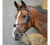 Bridon équitation muserolle croisée mexicaine anatomique Harry's Horse Noir Poney