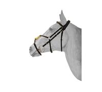 Bridon équitation muserolle croisée mexicaine anatomique HFI Marron Poney